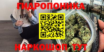a pvp Гатчина