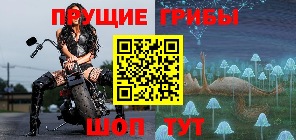 Псилоцибиновые грибы мицелий  как найти закладки  Псилоцибиновые грибы мицелий  Зеленогорск  Вход с VPN 
